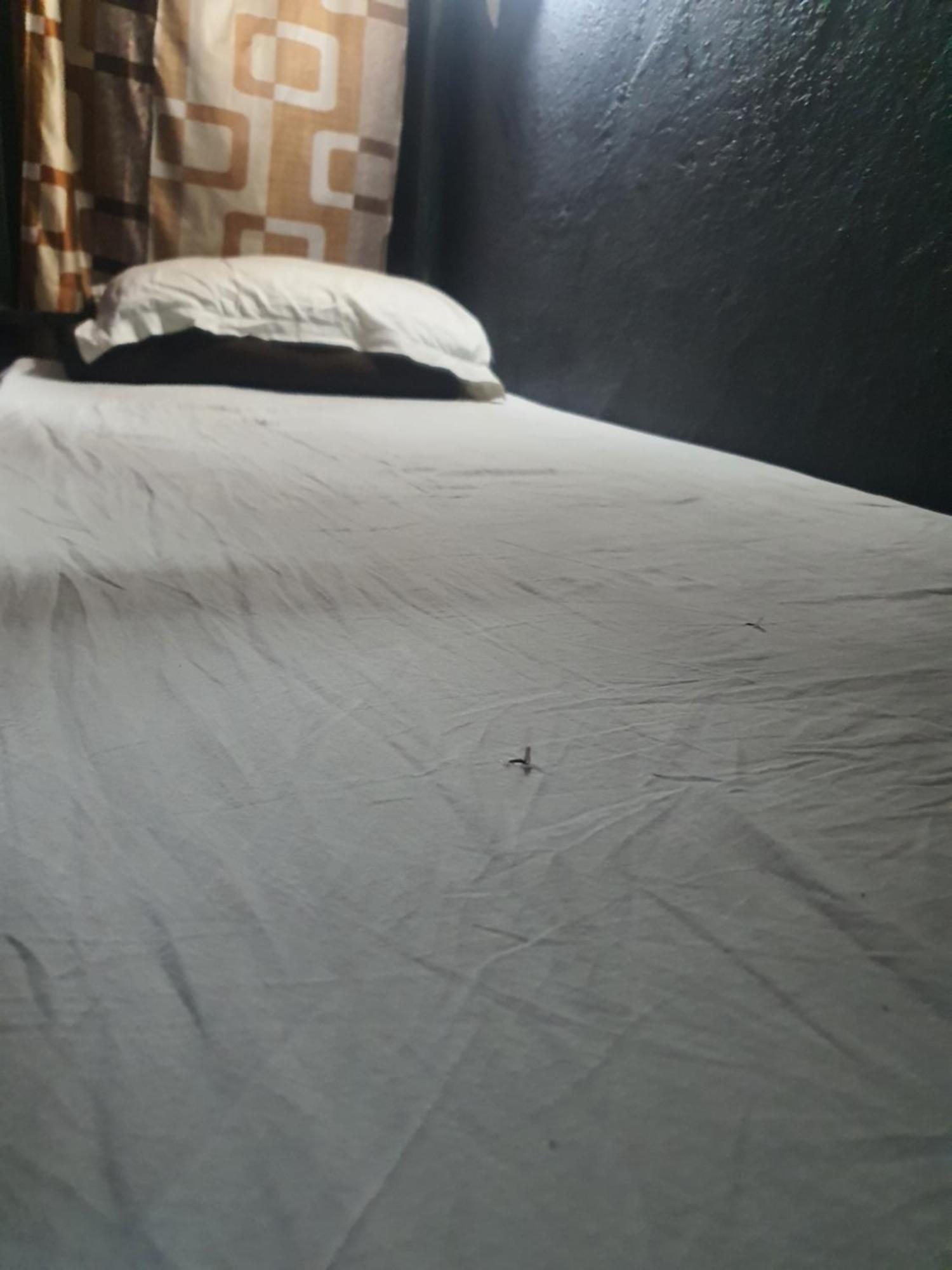 Bapuji Dormitory Hostel مومباي المظهر الخارجي الصورة